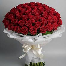 Букет 101 Красная роза Блэк Мэджик в Горноправдинск