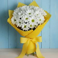 Букет цветов из:  Хризантемы в Горноправдинск