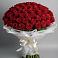 Букет 101 Красная роза Блэк Мэджик в Горноправдинск