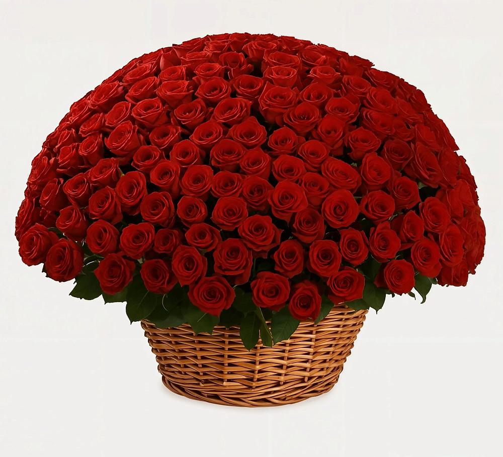 Премиум букет из: Розы в Горноправдинск