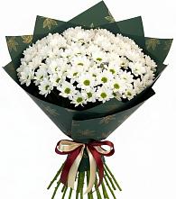 Букет цветов из:  Хризантемы #REPLACE_PRED# Горноправдинск