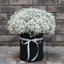 Цветочная композиция из Гипсофила в шляпной коробке в Горноправдинск